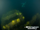 The bridge of the Marguerite in dark, murky water.