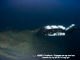 The aftmost part of the wreck on the seabed.